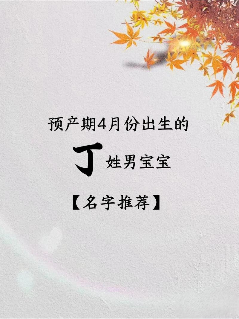 丁姓男宝宝名字中蕴含智慧才气，有没有什么既体现这些特质又富有内涵的名字推荐呢？