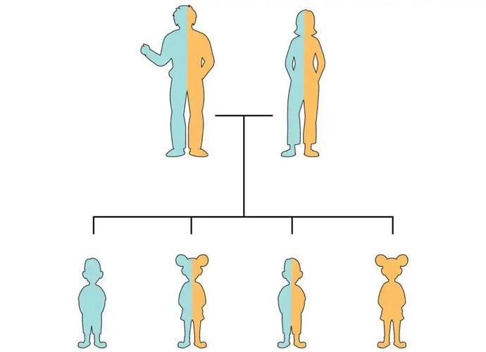 如何判断孩子的命格是高是低？