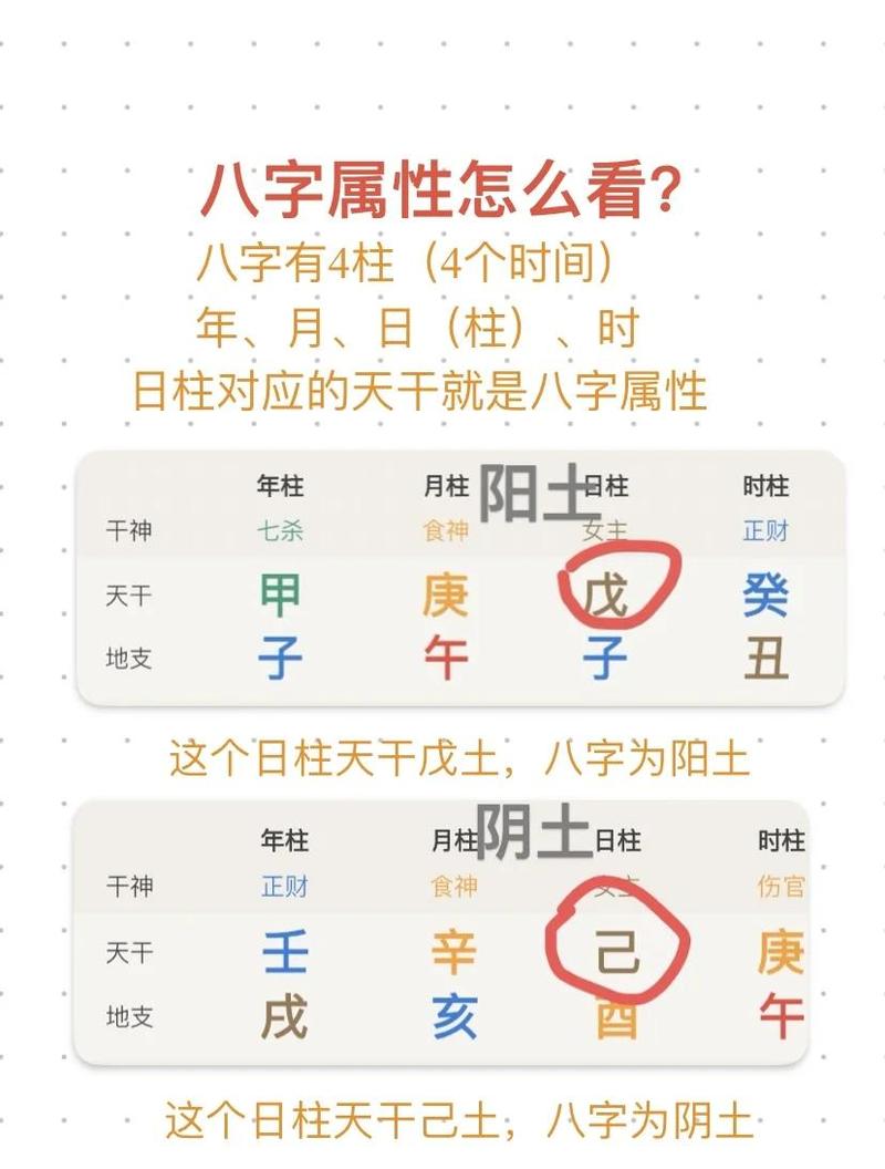 我的八字命盘里五行属性如何分布？