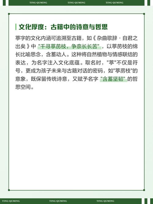 葶字五行属什么？女孩取名用葶字寓意美好，有哪些名字推荐？