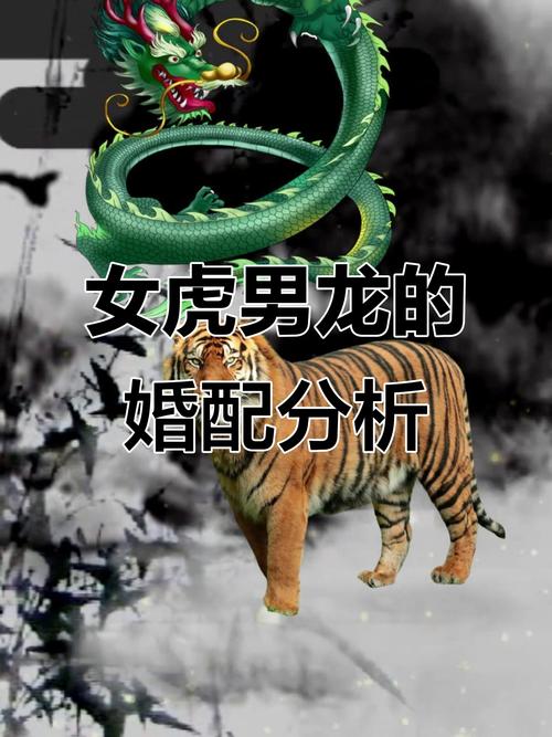 属虎和龙结婚会怎样？婚姻生活幸福吗？
