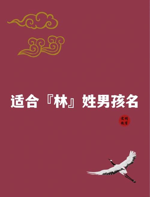 姓林的男孩取什么含义深刻的名字比较好？