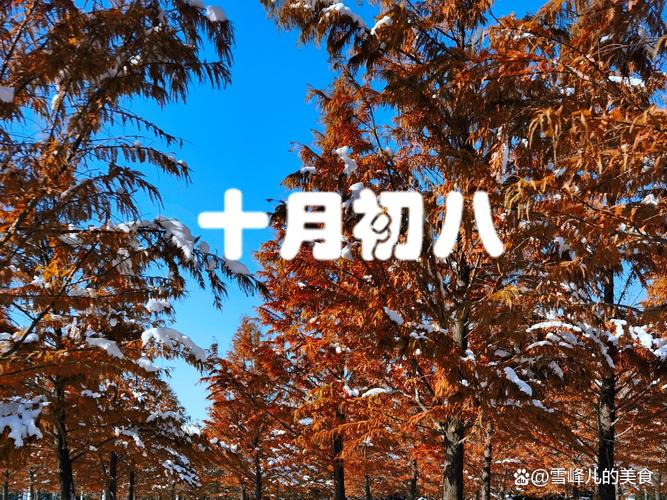 2025年11月27日农历十月初八这天，是不是治疗疾病的好日子呢？