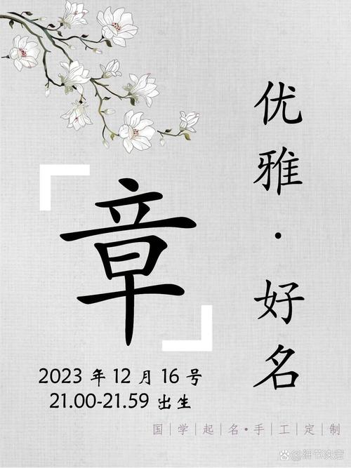 章姓智慧才气男宝宝名字，有没有什么寓意深刻又朗朗上口的好建议呢？