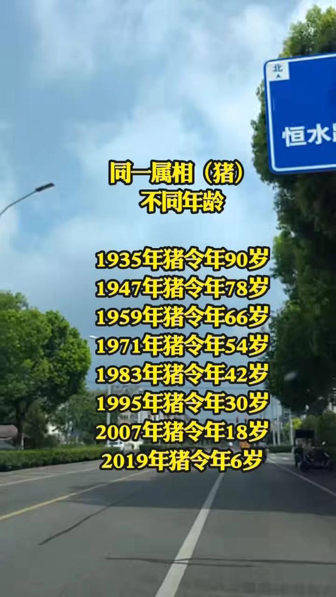 乙亥年癸丑日是什么命，乙亥年猪是哪几年出生？