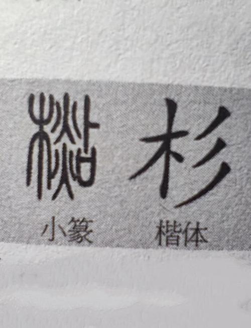 杉字男孩名字寓意坚毅，如何取一个杉字男孩名字体现其寓意？