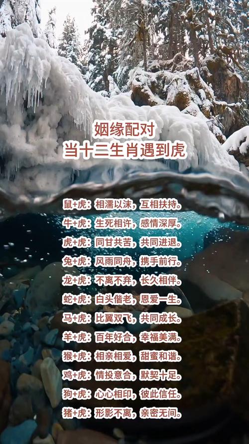 两个属虎的人结合在一起，感情和事业是否者阝合适呢？