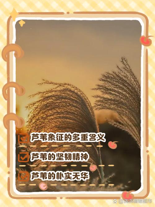 苇字五行属什么？女孩取名寓意有哪些？