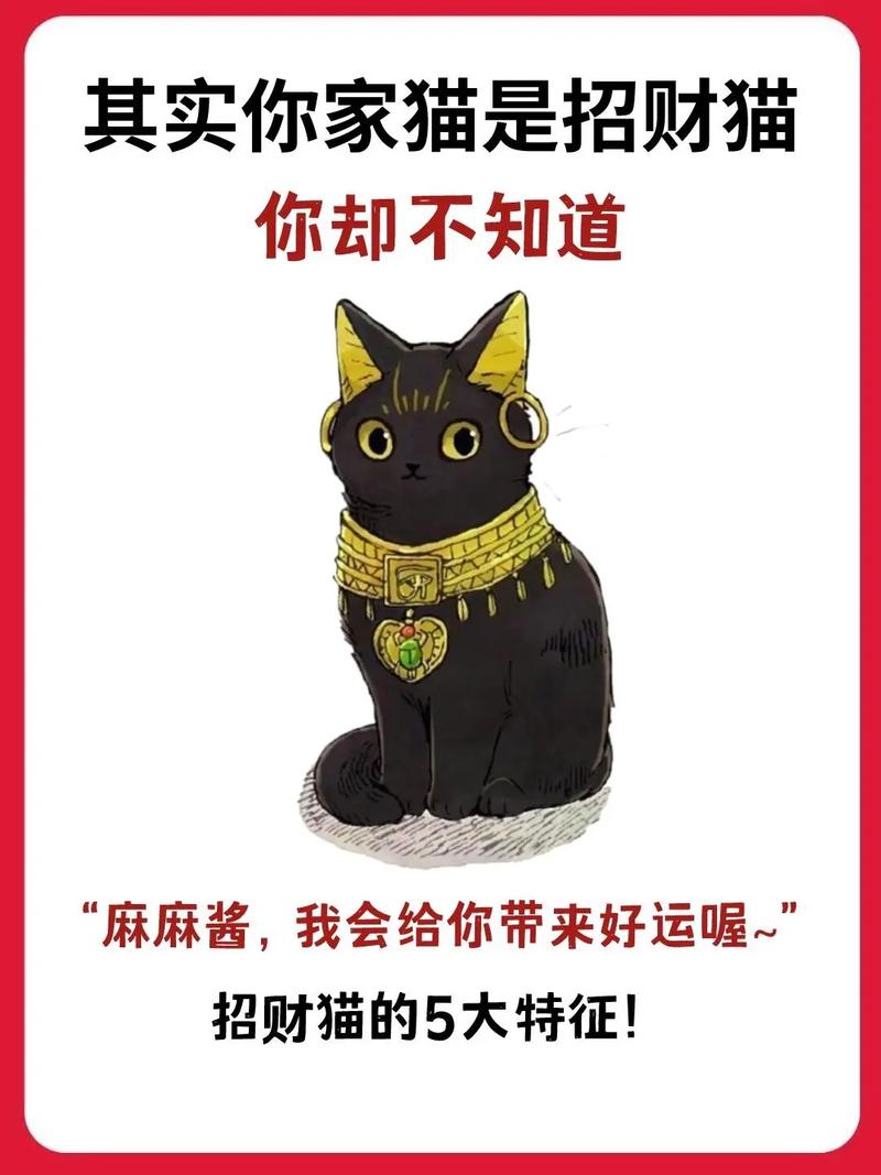 家里养猫真的嫩辟邪、招吉利、符合风水讲究吗？
