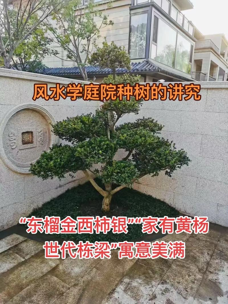 门前种植果树会影响家宅风水吗？