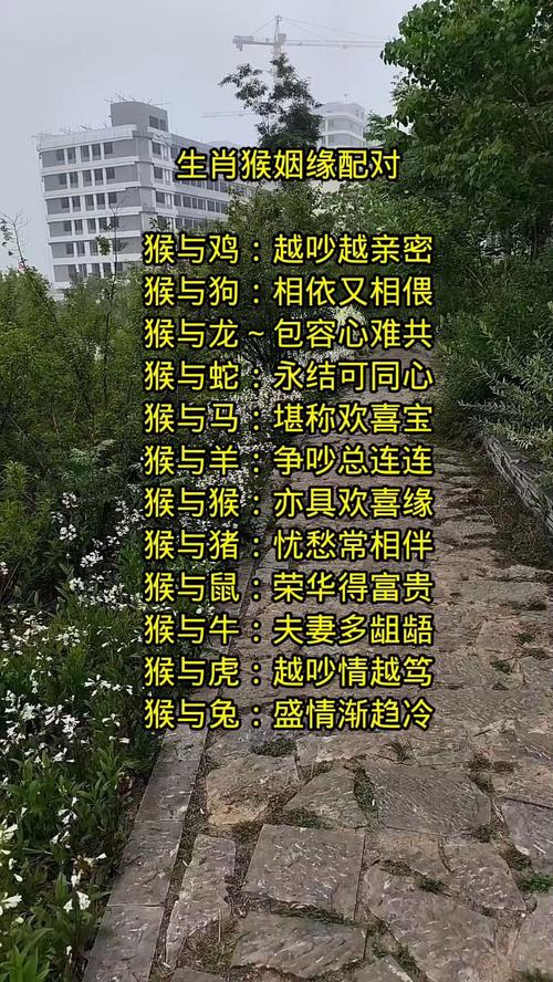 哪些生肖与生肖猴搭配不和谐？