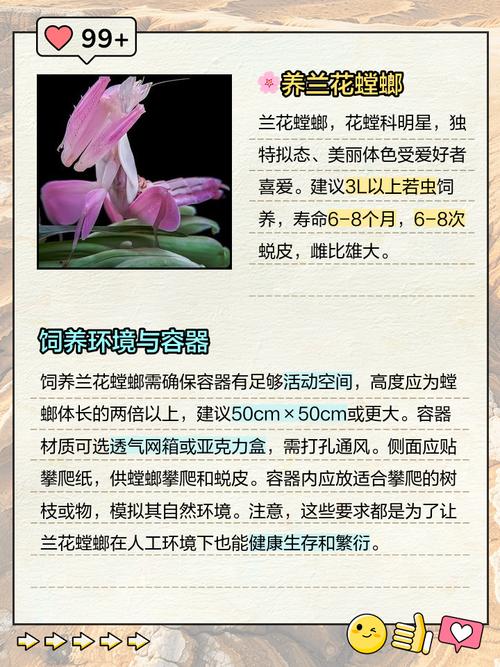 家里养螳螂风水如何，是否吉利？