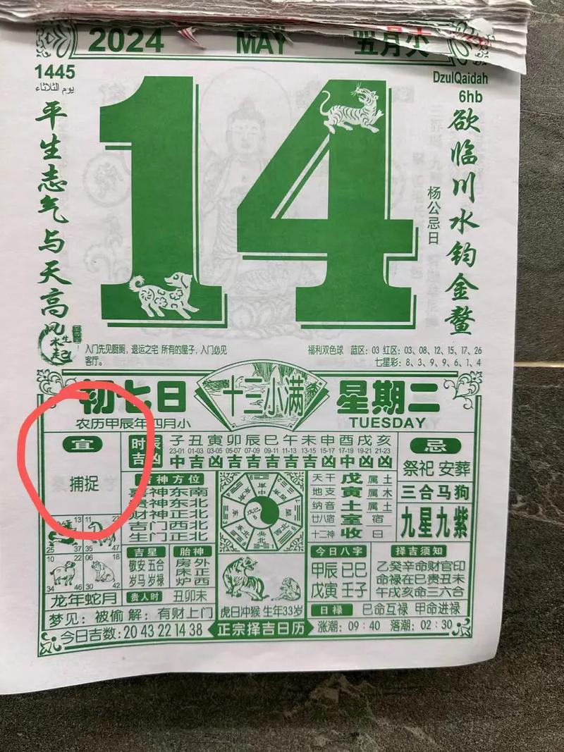 2025年12月28日黄历上适合钓鱼吗？
