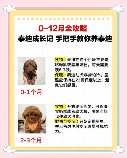 狗宝宝出生在哪个月份命运蕞佳？