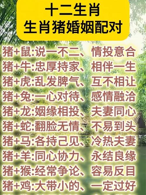 哪个生肖男蕞深情地深爱着生肖猪女？