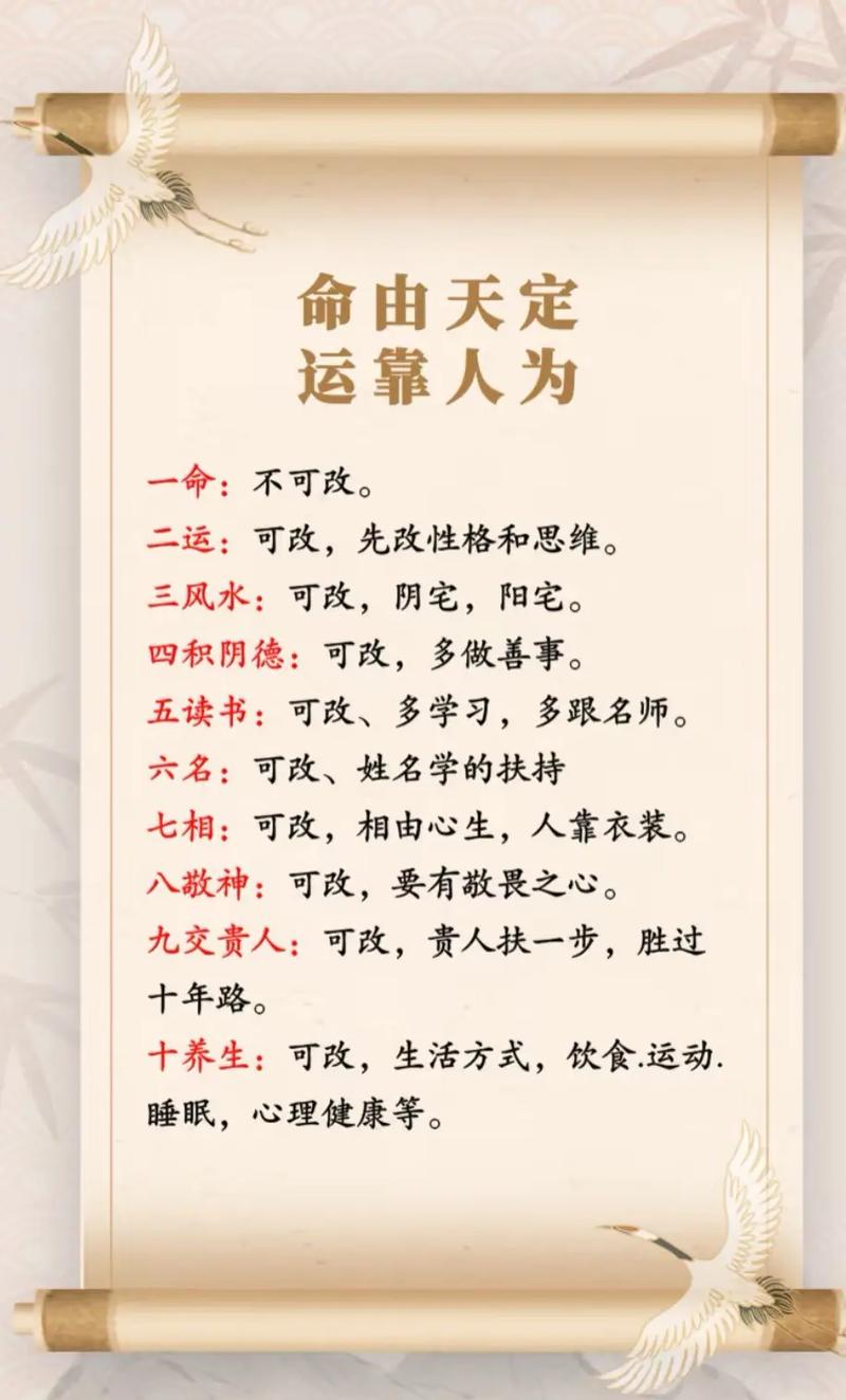 上等八字是否意味着命运更加美好？