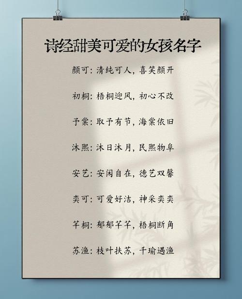 有没有人给宝宝取过像‘郑婉若清雅’这样冷门独特的女宝宝名字？