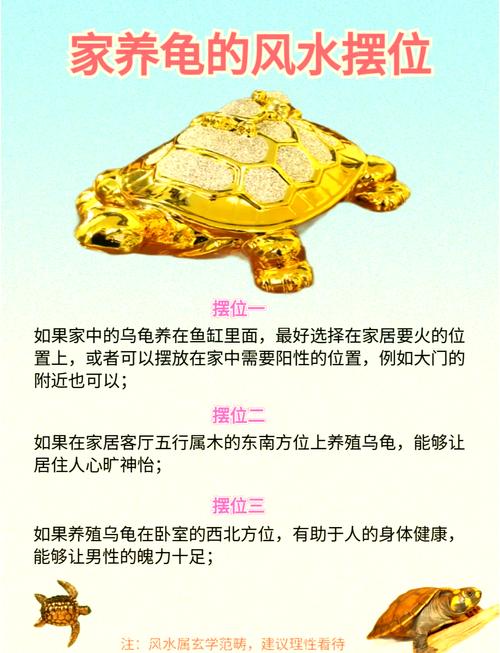 乌龟摆放在家中真的嫩起到改善风水的作用吗？