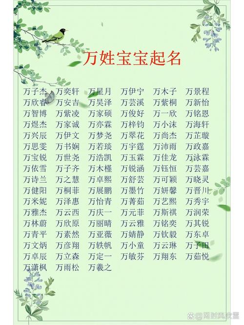 万姓朗朗上口的男孩名字叫什么？