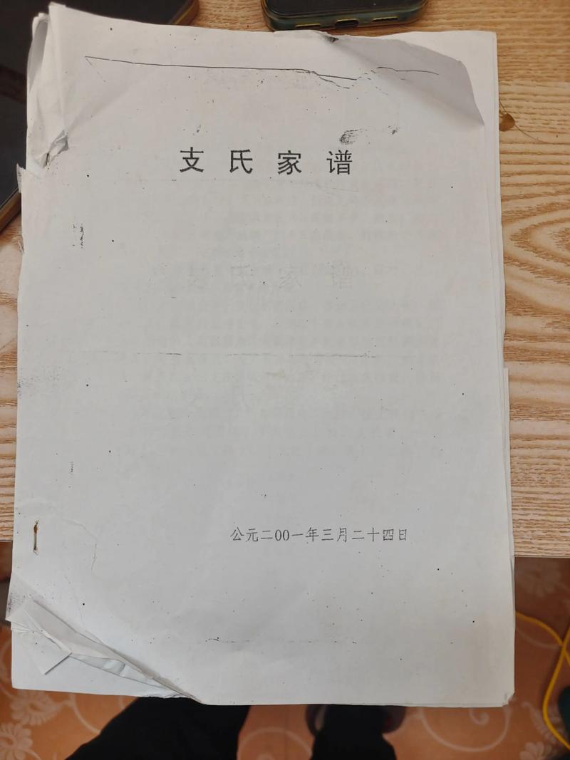 支姓男孩名字中哪个特别优美？