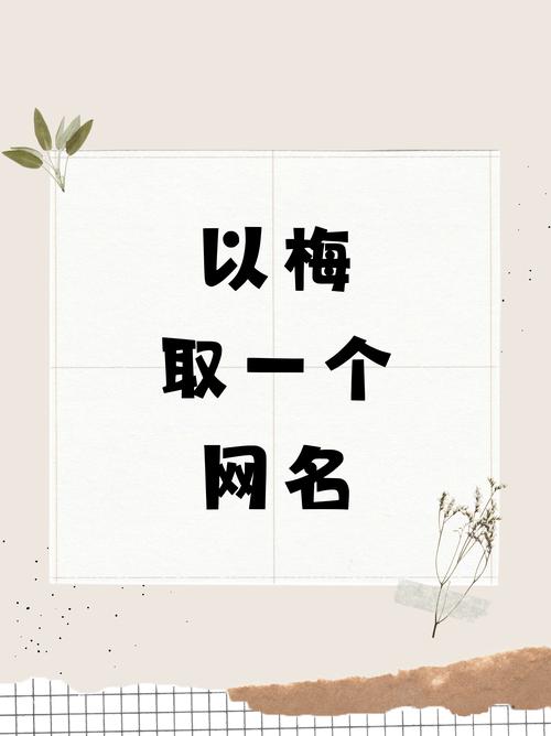 姓梅的女孩起一个大气文雅的名字，有没有什么好的建议呢？