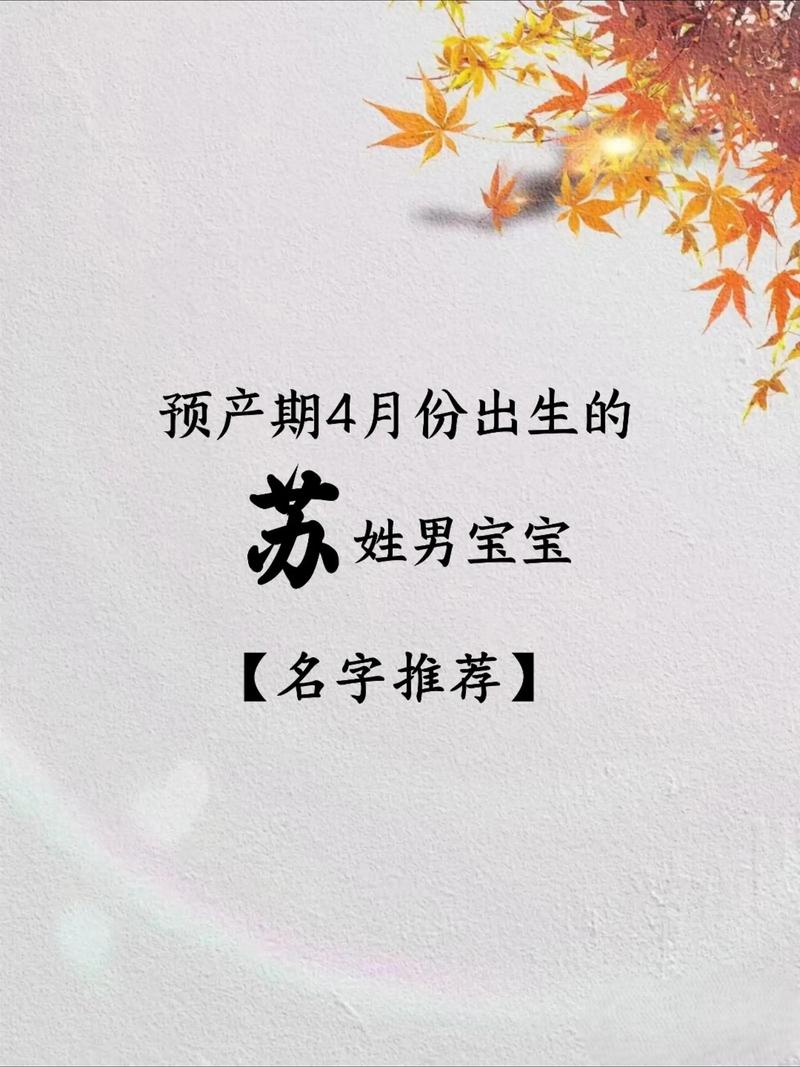 姓苏的男孩取个有创意的名字，有没有什么好建议呢？