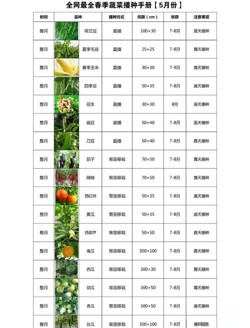 2025年11月5日这一天适合种植作物吗？