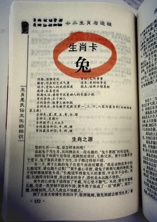 哪些命格的人属于属兔？