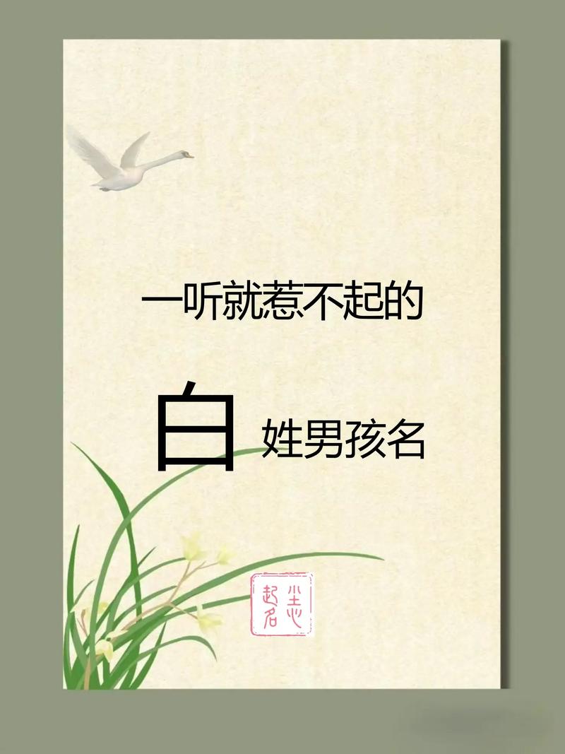 取一个有诗意的白姓男孩名字，有没有什么好听的推荐呢？
