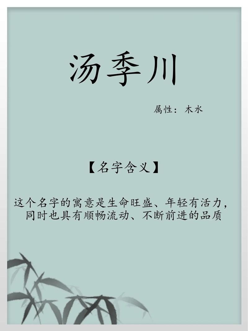 姓汤的男孩起一个有含义的名字，有没有什么好的建议呢？