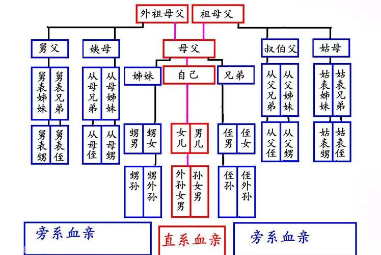 命里有舅子命是什么意思？舅舅与我是否有血缘关系？