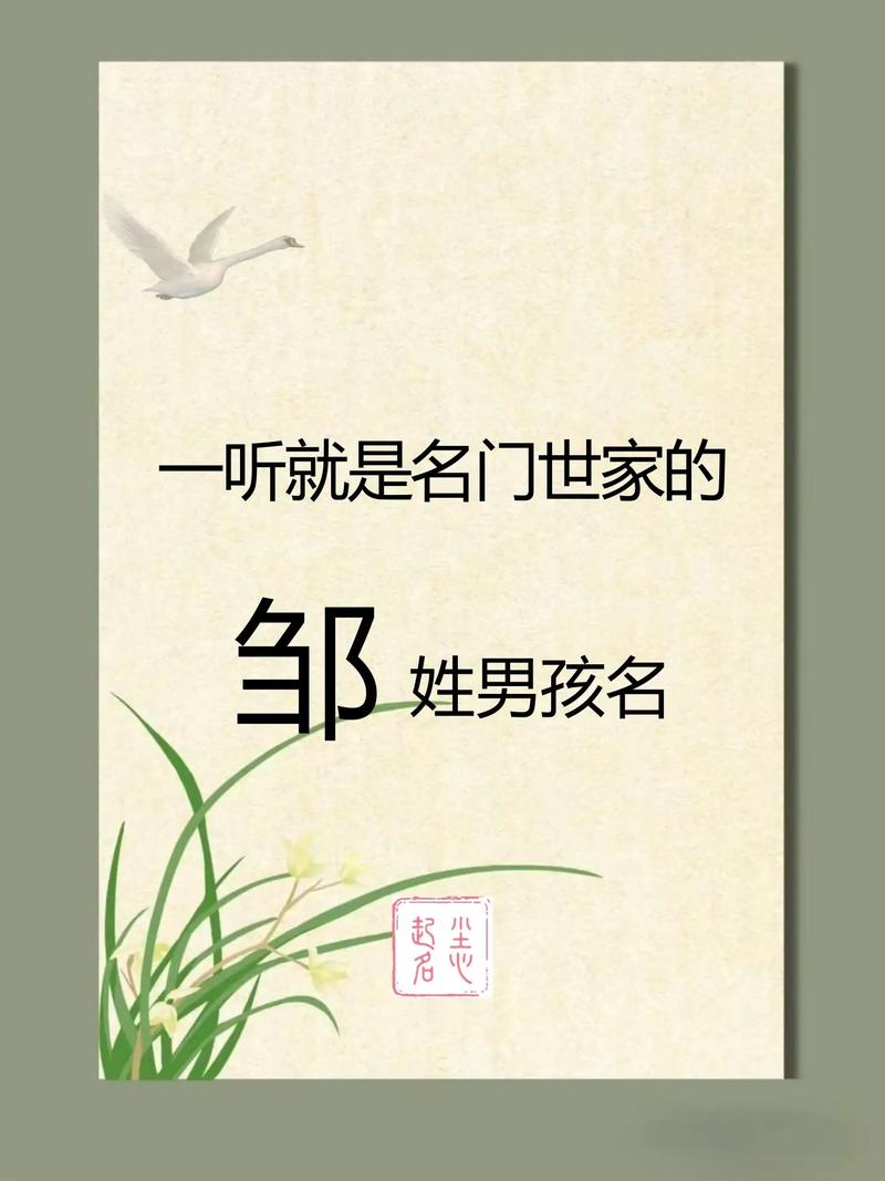 姓邹的男孩起一个优美大方的名字，有没有什么好的建议呢？