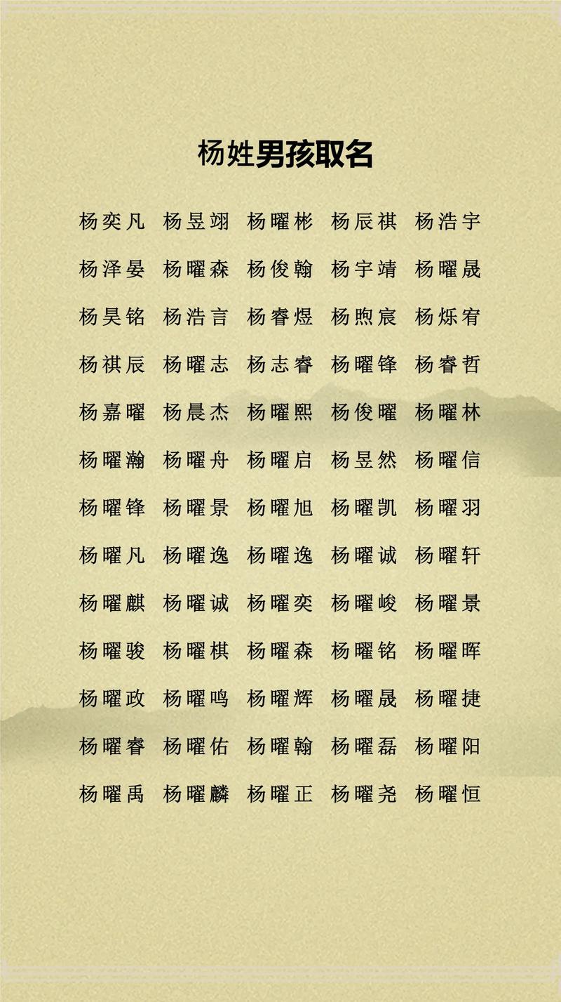 姓杨的男孩取个有灵气的名字叫什么好？