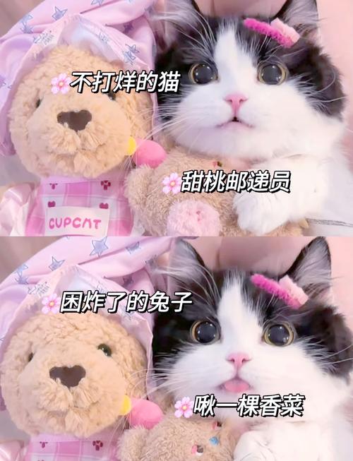 用‘妹’字为女孩取名，寓意着温柔、可爱，那么有没有什么好听的带‘妹’字的长名字推荐呢？