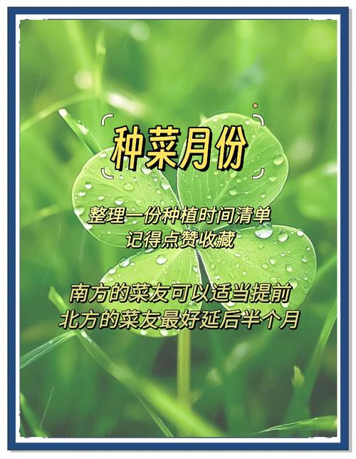 2026年3月31日这天适合种植植物吗？