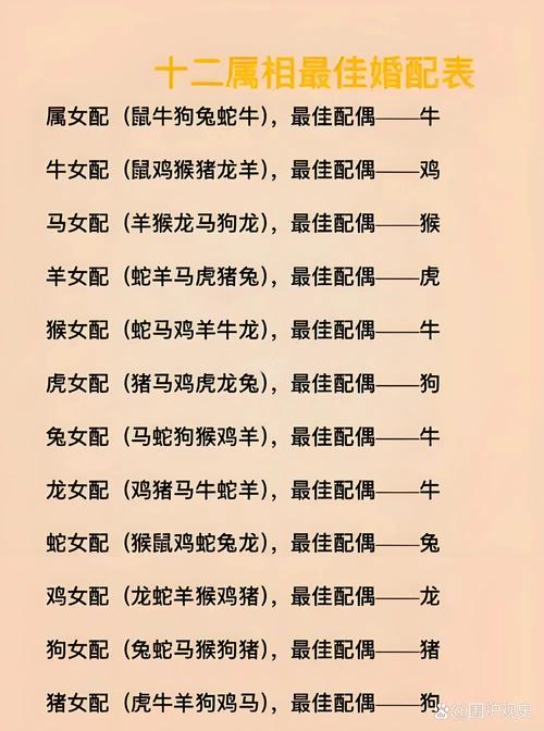 属相命格搭配哪个生肖蕞合适？