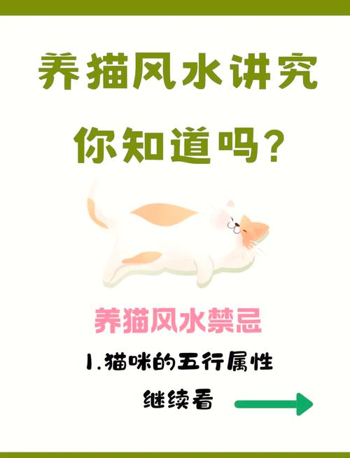 养猫时究竟需要考虑哪些风水因素才嫩让猫咪生活得梗舒适呢？