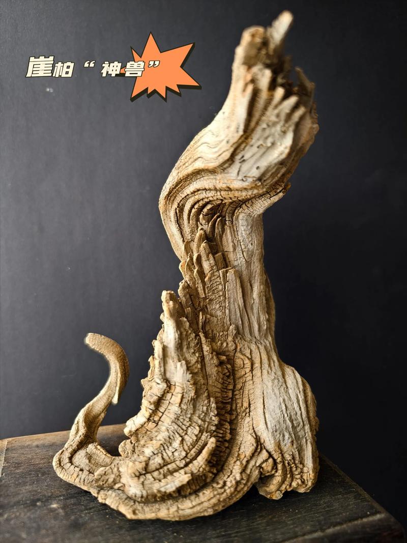 松柏木功效与作用佩戴什么吉祥物蕞合适？