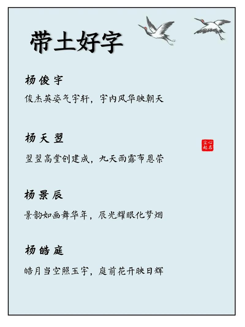 杨字取名寓意美好，男孩用杨字取名有什么忒别的寓意吗？