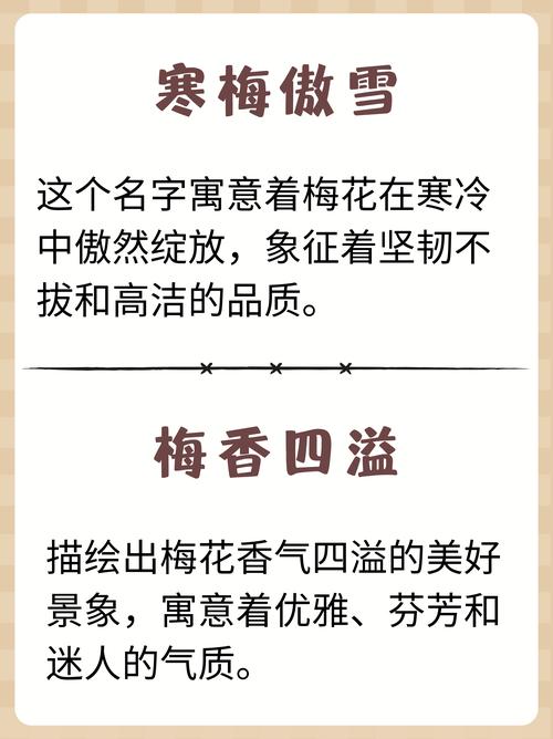 梅姓女孩名字中，有哪些名字既优美又适合取呢？