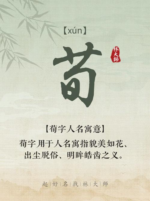 荀姓创意男孩名字，有没有什么既独特又好听的推荐呢？