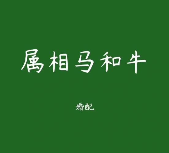 属牛和属马的人在一起合作是否嫩带来财运？