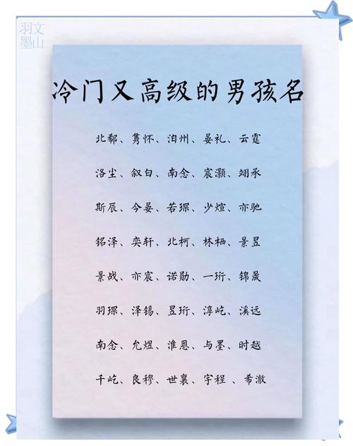有没有人给孩子取过像‘冷月轩’这样独特又冷门的男孩名字？