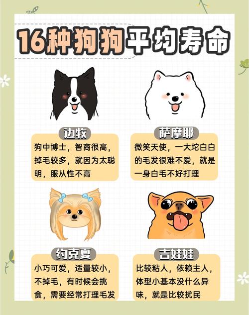 属狗人的短命命格是否可以通过某种方法改变或延长寿命？