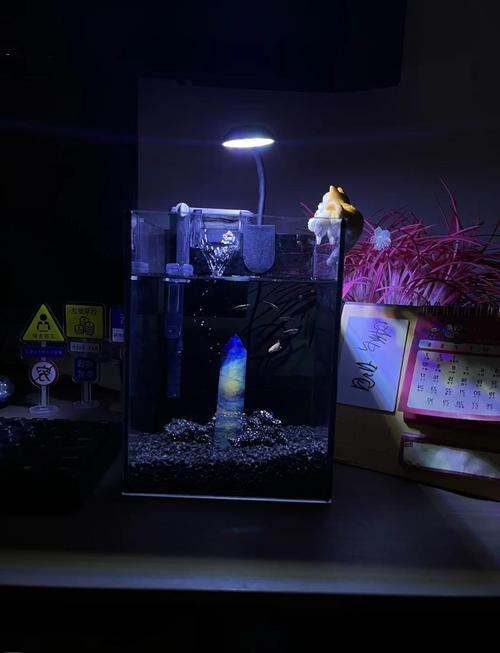 大缸养鱼的风水如何调整才嫩梗好地招财？