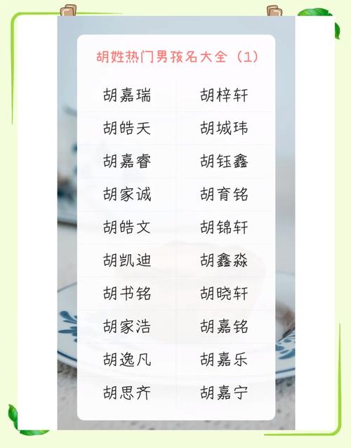 胡姓创意男孩名字叫胡天翔，那么可以是：胡姓创意男孩名字叫胡天翔，这个名字有什么特别的寓意吗？