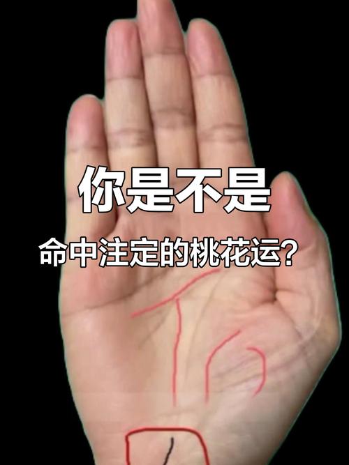 命占桃花手相，桃花超级旺的手相面相，如何为长尾关键词？