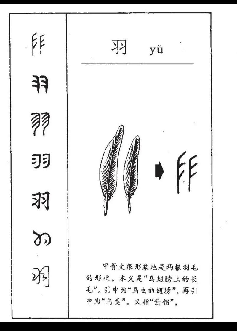 羽字取名寓意女孩，能否体现优雅与轻盈之美？