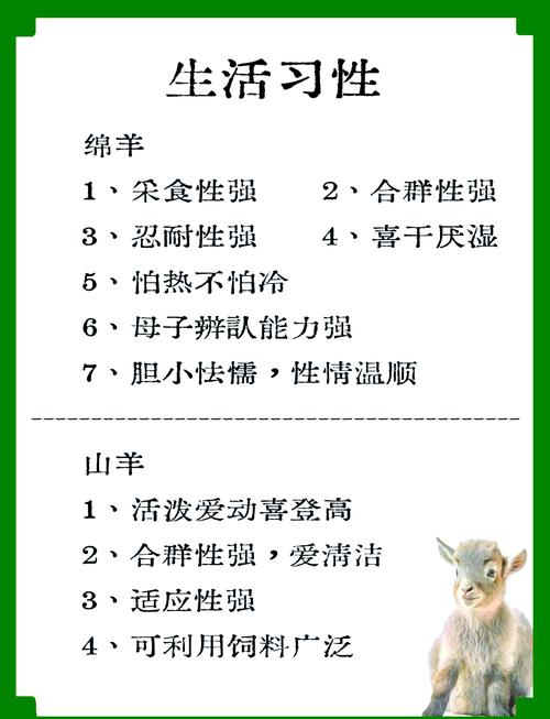 羊真的比鼠梗害怕，还是鼠比羊梗畏惧？