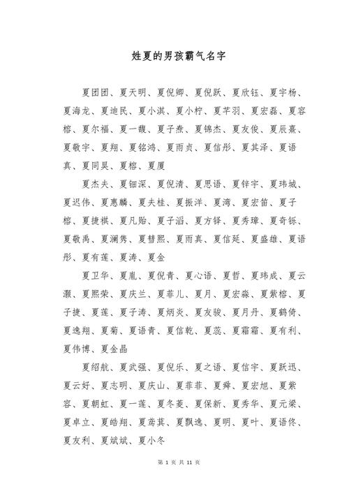 夏姓智慧才气男孩取什么名字比较好？